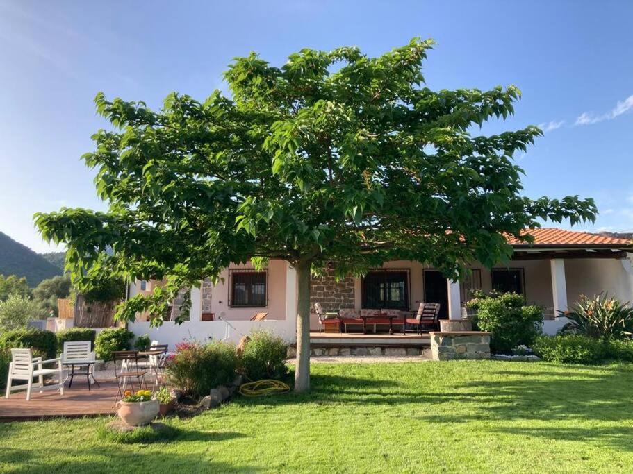 Countryside Villa In Sardinia Triei Luaran gambar