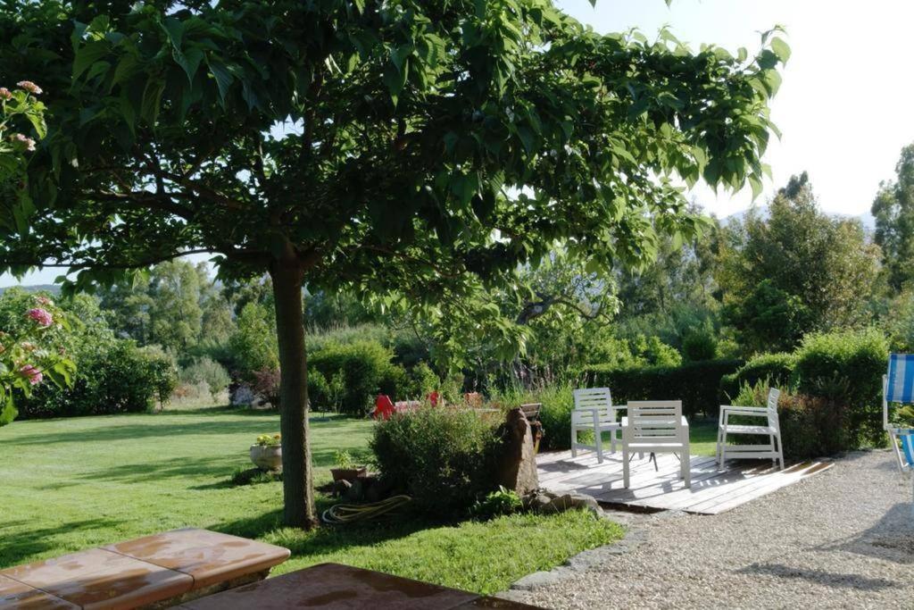 Countryside Villa In Sardinia Triei Luaran gambar